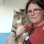 garde de chat